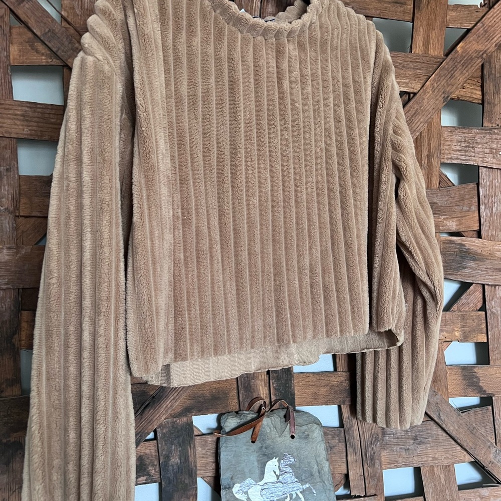 Zara Tan Ribbed Sweatshirt